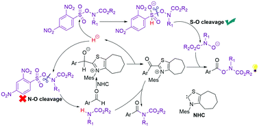 Graphical abstract: Mechanistic insights and origin of chemoselectivity for S–O bond cleavage in dinitrobenzenesulfonic carbamates