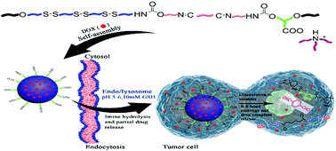 Graphical abstract: Facile preparation of biodegradable dual stimuli-responsive micelles from waterborne polyurethane for efficient intracellular drug delivery