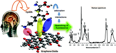 Graphical abstract: Interaction of 5-S-cysteinyl-dopamine with graphene oxide: an experimental and theoretical study for the detection of a Parkinson's disease biomarker