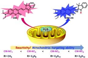 Graphical abstract: Tuning lipophilicity for optimizing the H2S sensing performance of coumarin–merocyanine derivatives