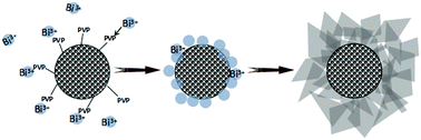 Graphical abstract: Novel Co-doped Fe3O4/Bi2WO6 core–shell magnetic photocatalysts with enhanced photocatalytic degradation of contaminants