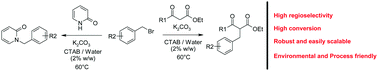 Graphical abstract: Environmentally benign nucleophilic substitution reaction of arylalkyl halides in water using CTAB as the inverse phase transfer catalyst