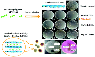 Graphical abstract: A novel antimicrobial composite: ZnAl-hydrotalcite with p-hydroxybenzoic acid intercalation and its possible application as a food packaging material