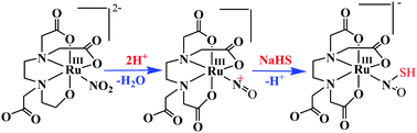 Graphical abstract: RuIII(edta)-mediated interaction of nitrite and sulphide: formation of an N-bonded thionitrous acid (HSNO) complex of RuIII(edta) in aqueous solution