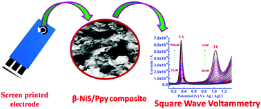 Graphical abstract: Nanocomposite based on restacked crystallites of β-NiS and Ppy for the determination of theophylline and uric acid on screen-printed electrodes
