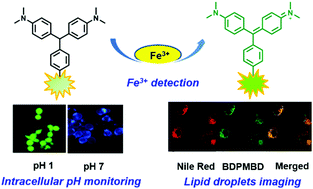 Graphical abstract: Multifunctional fluorescent leucomalachite green derivatives for chemodosimetric detection of Fe3+, specific imaging of lipid droplets and intracellular pH monitoring