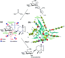 Graphical abstract: Ionic liquid-assisted catalysis for glycosidation of two triterpenoid sapogenins