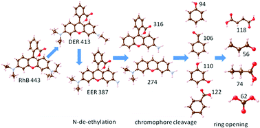 Graphical abstract: Investigation of catalytic activity and mechanism for RhB degradation by LaMnO3 perovskites prepared via the citric acid method