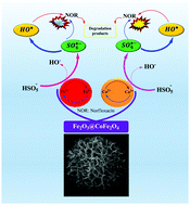 Graphical abstract: Catalytic activity of a magnetic Fe2O3@CoFe2O4 nanocomposite in peroxymonosulfate activation for norfloxacin removal