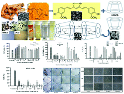 Graphical abstract: Study of the complexation of structurally modified curcumin with hydroxypropyl beta cyclodextrin and its effect on anticancer activity