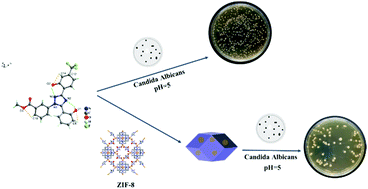 Graphical abstract: The synthesis of an antifungal 1,2,4-triazole drug and the establishment of a drug delivery system based on zeolitic imidazolate frameworks