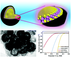 Graphical abstract: First-principles and experimental investigation of carbon-coated MoS2 hollow nanosphere heterogeneous structures with enhanced hydrogen evolution performance