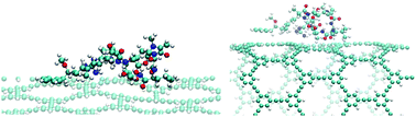 Graphical abstract: Conjugated microporous polymer nanosheets and nanotubes as novel absorbents for microcystin-LR: insights from theoretical investigations