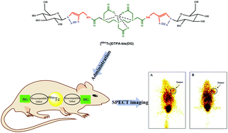 Graphical abstract: Synthesis and preliminary evaluation of a 99mTc labelled deoxyglucose complex {[99mTc]DTPA-bis(DG)} as a potential SPECT based probe for tumor imaging