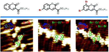 Graphical abstract: Cooperation and competition of hydrogen and halogen bonds in 2D self-assembled nanostructures based on bromine substituted coumarins