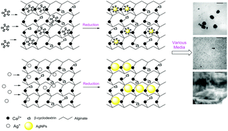 Graphical abstract: Effect of capping methods on the morphology of silver nanoparticles: study on the media-induced release of silver from the nanocomposite β-cyclodextrin/alginate