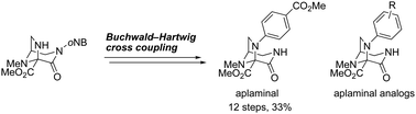 Graphical abstract: Total synthesis of (−)-aplaminal by Buchwald–Hartwig cross-coupling of an aminal