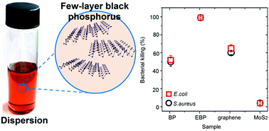 Graphical abstract: Large-yield exfoliation of few-layer black phosphorus nanosheets in liquid