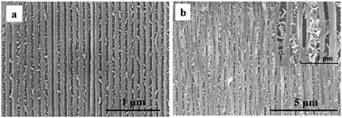 Graphical abstract: CdS structures prepared in AAO nanochannels via different synthesis methods under limited conditions