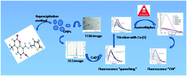 Graphical abstract: Design and synthesis of a novel coumarin-based framework as a potential chemomarker of a neurotoxic insecticide, azamethiphos