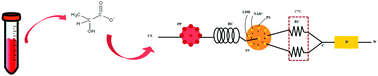 Graphical abstract: Automatic fluorometric lactate determination in human plasma samples