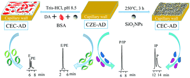 Graphical abstract: Zeolite silica nanoparticles-supported open-tubular columns for isomer and chiral separation using capillary electrochromatography coupled with amperometric detection