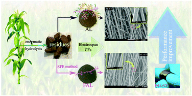 Graphical abstract: Stepwise fractionation extracted lignin for high strength lignin-based carbon fibers