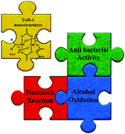 Graphical abstract: Green synthesis and characterization of novel Mn-MOFs with catalytic and antibacterial potentials