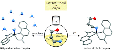 Graphical abstract: 3-Amino-1-propanol and N-methylaminoethanol: coordination to zinc(ii) vs. decomposition to ammonia