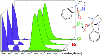 Graphical abstract: Tetrahedral photoluminescent manganese(ii) halide complexes with 1,3-dimethyl-2-phenyl-1,3-diazaphospholidine-2-oxide as a ligand