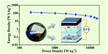 Graphical abstract: Constructing consistent pore microstructures of bacterial cellulose-derived cathode and anode materials for high energy density sodium-ion capacitors