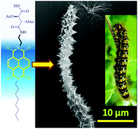 Graphical abstract: Aggregation-induced emission characteristics and solvent triggered hierarchical self-assembled chiral superstructures of naphthalenediimide amphiphiles