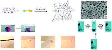 Graphical abstract: A tri-responsive and fast self-healing organogel with stretchability based on multiple dynamic covalent bonds