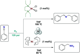 Graphical abstract: Nickel(ii) and nickel(0) complexes as precursors of nickel nanoparticles for the catalytic hydrogenation of benzonitrile