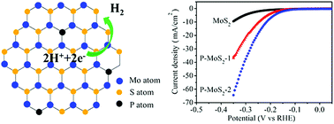 Graphical abstract: Improvement of HER activity for MoS2: insight into the effect and mechanism of phosphorus post-doping