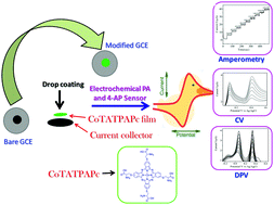 Graphical abstract: Simultaneous detection of paracetamol and 4-aminophenol at nanomolar levels using biocompatible cysteine-substituted phthalocyanine