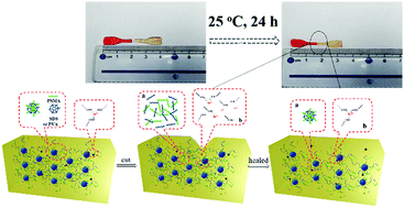 Graphical abstract: Effects of surfactant and ionic concentration on properties of dual physical crosslinking self-healing hydrogels by hydrophobic association and ionic interactions