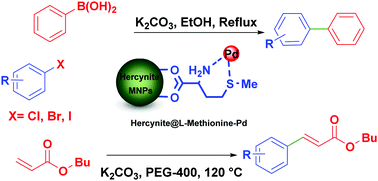 Graphical abstract: l-Methionine–Pd complex supported on hercynite as a highly efficient and reusable nanocatalyst for C–C cross-coupling reactions