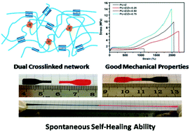 Graphical abstract: A dual supramolecular crosslinked polyurethane with superior mechanical properties and autonomous self-healing ability