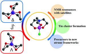 Graphical abstract: Tricyclic tin(iv) cages: synthetic aspects and intriguing features of stannatranes and pseudostannatranes
