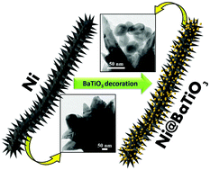 Graphical abstract: BaTiO3 nanoparticle-decorated hierarchical Ni nanowire assemblies for magnetoelectric applications