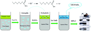 Graphical abstract: A novel switchable solvent liquid-phase microextraction technique based on the solidification of floating organic droplets: HPLC-FLD analysis of polycyclic aromatic hydrocarbon monohydroxy metabolites in urine samples