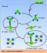 Graphical abstract: Fe3O4 nanoparticles functionalized with poly(ethylene glycol) for the selective separation and enrichment of Au(iii)