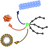 Graphical abstract: Mastering bioactive coatings of metal oxide nanoparticles and surfaces through phosphonate dendrons