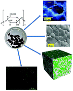 Graphical abstract: Exploration of gum ghatti-modified porous scaffolds for bone tissue engineering applications