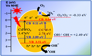 Graphical abstract: Preparation and characterization of CdWO4:Cu nanorods with enhanced photocatalytic performance under sunlight irradiation