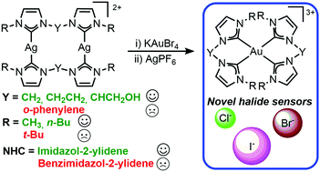 Graphical abstract: New homoleptic gold carbene complexes via Ag–Au transmetalation: synthesis and application of [Au(diNHC)2]3+ cations as 1H-NMR and UV-vis halide sensors