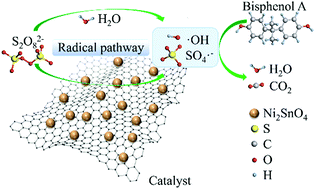 Graphical abstract: Heterogeneous activation of persulfate for the degradation of bisphenol A with Ni2SnO4–RGO