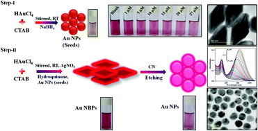 Graphical abstract: Colorimetric and visual detection of cyanide ions based on the morphological transformation of gold nanobipyramids into gold nanoparticles