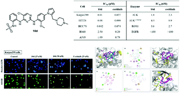 Graphical abstract: Structure-based design of 2,4-diaminopyrimidine derivatives bearing a pyrrolyl group as ALK and ROS1 inhibitors